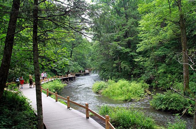 Longwanqun National Forest Park